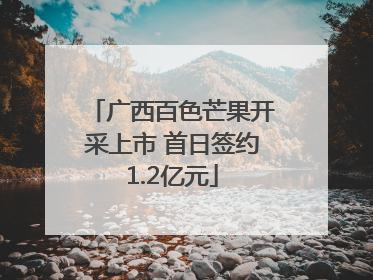 广西百色芒果开采上市 首日签约1.2亿元
