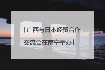 广西与日本经贸合作交流会在南宁举办