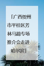 广西贺州市平桂区芳林马蹄专场推介会走进哈尔滨