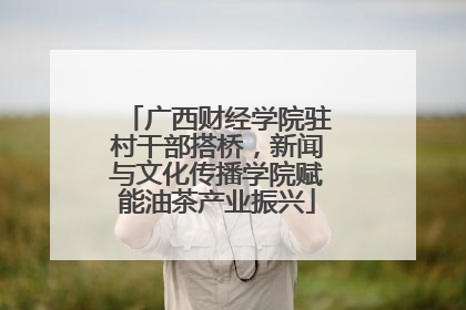 广西财经学院驻村干部搭桥，新闻与文化传播学院赋能油茶产业振兴