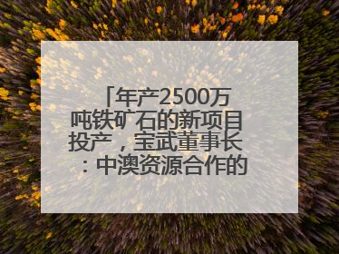年产2500万吨铁矿石的新项目投产，宝武董事长：中澳资源合作的里程碑