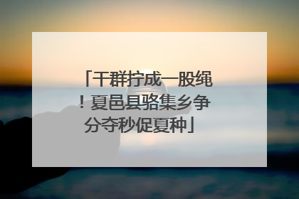 干群拧成一股绳！夏邑县骆集乡争分夺秒促夏种