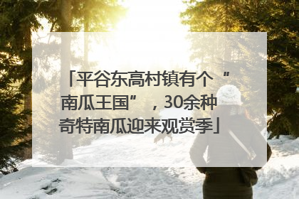 平谷东高村镇有个“南瓜王国”，30余种奇特南瓜迎来观赏季