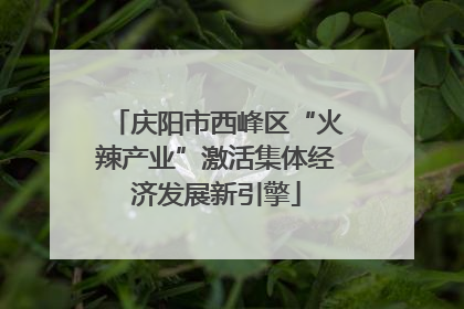 庆阳市西峰区“火辣产业”激活集体经济发展新引擎