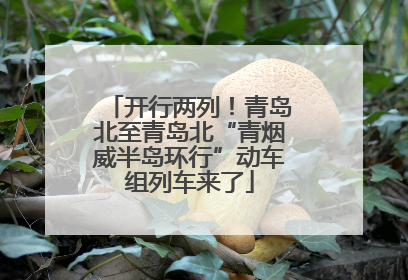 开行两列！青岛北至青岛北“青烟威半岛环行”动车组列车来了