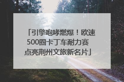 引擎咆哮燃爆！欧速500圈卡丁车耐力赛点亮荆州文旅新名片