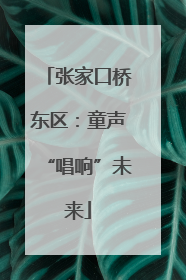 张家口桥东区：童声“唱响”未来