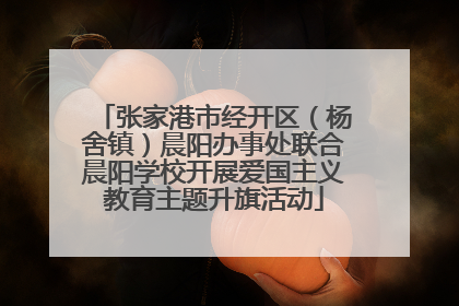 张家港市经开区（杨舍镇）晨阳办事处联合晨阳学校开展爱国主义教育主题升旗活动