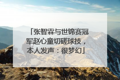 张智霖与世锦赛冠军赵心童切磋球技，本人发声：很梦幻