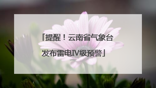 提醒！云南省气象台发布雷电Ⅳ级预警