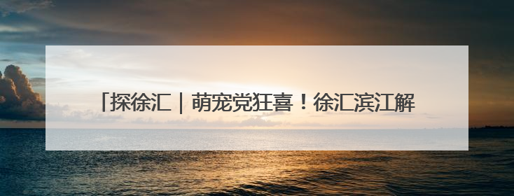 探徐汇｜萌宠党狂喜！徐汇滨江解锁“宠物游轮+天台乐园”双玩法