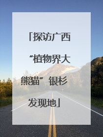 探访广西“植物界大熊猫”银杉发现地