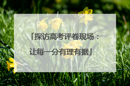 探访高考评卷现场：让每一分有理有据