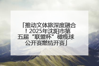 推动文体旅深度融合！2025年沈阳市第五届“联盟杯”橄榄球公开赛燃情开赛