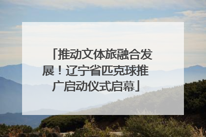 推动文体旅融合发展！辽宁省匹克球推广启动仪式启幕