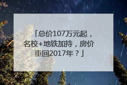总价107万元起，名校+地铁加持，房价重回2017年？