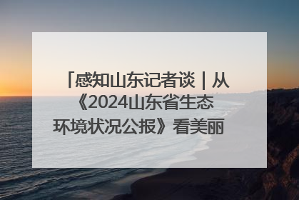 感知山东记者谈｜从《2024山东省生态环境状况公报》看美丽山东建设的“成绩单”与“任务书”