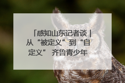 感知山东记者谈｜从“被定义”到“自定义” 齐鲁青少年书写时代新篇