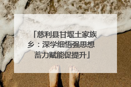 慈利县甘堰土家族乡：深学细悟强思想 蓄力赋能促提升