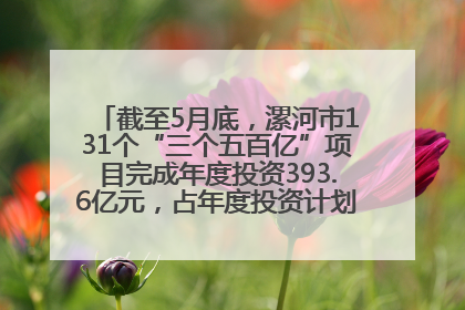 截至5月底，漯河市131个“三个五百亿”项目完成年度投资393.6亿元，占年度投资计划的50.41%——“三个五百亿”项目带动产业提质升级