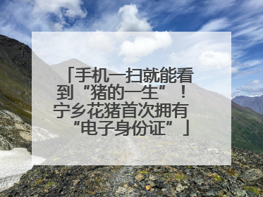 手机一扫就能看到“猪的一生”！宁乡花猪首次拥有“电子身份证”