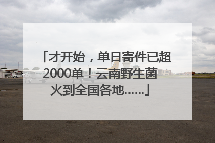 才开始，单日寄件已超2000单！云南野生菌火到全国各地……