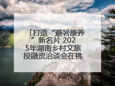 打造“避暑康养”新名片 2025年湖南乡村文旅投融资洽谈会在桃江举办