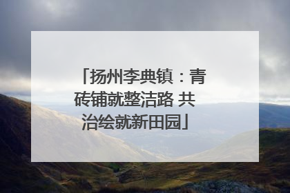 扬州李典镇：青砖铺就整洁路 共治绘就新田园