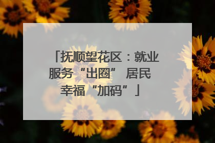 抚顺望花区：就业服务“出圈” 居民幸福“加码”