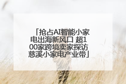 抢占AI智能小家电出海新风口 超100家跨境卖家探访慈溪小家电产业带