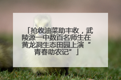抢收油菜助丰收，武陵源一中数百名师生在黄龙洞生态田园上演“青春助农记”
