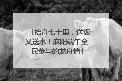 抬舟七十里，送饭又送水！麻阳端午全民参与的龙舟情