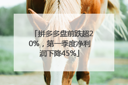 拼多多盘前跌超20%，第一季度净利润下降45%