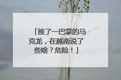 挨了一巴掌的马克龙，在越南说了些啥？危险！