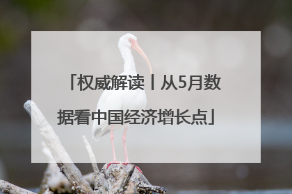 权威解读丨从5月数据看中国经济增长点