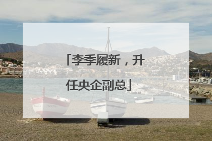 李季履新，升任央企副总