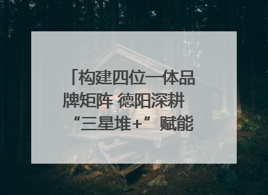 构建四位一体品牌矩阵 德阳深耕“三星堆+”赋能国际旅游城市建设｜文旅局长说