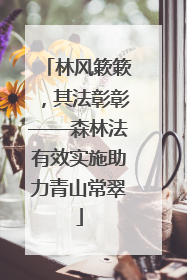 林风簌簌，其法彰彰——森林法有效实施助力青山常翠
