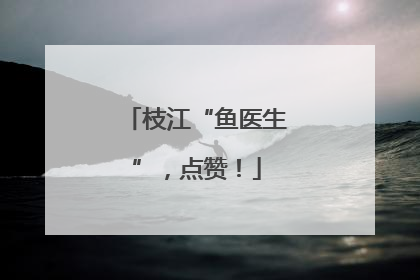枝江“鱼医生”，点赞！