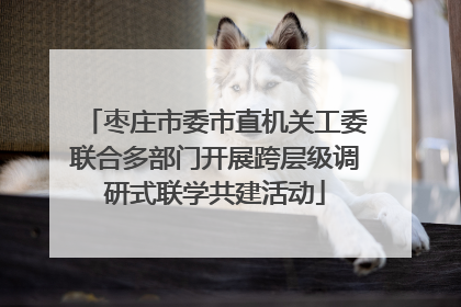 枣庄市委市直机关工委联合多部门开展跨层级调研式联学共建活动