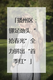 播州区：铆足劲头“抢春光”全力拼出“首季红”