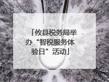 攸县税务局举办“智税服务体验日”活动