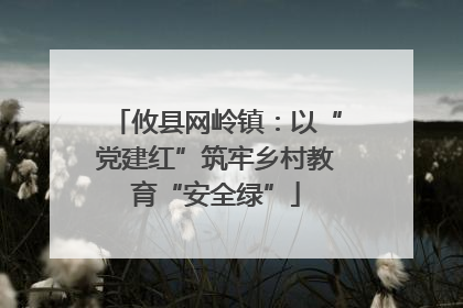 攸县网岭镇：以“党建红”筑牢乡村教育“安全绿”