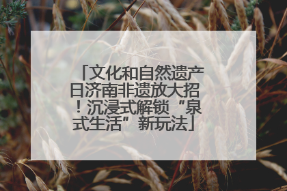 文化和自然遗产日济南非遗放大招！沉浸式解锁“泉式生活”新玩法