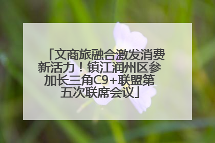 文商旅融合激发消费新活力！镇江润州区参加长三角C9+联盟第五次联席会议