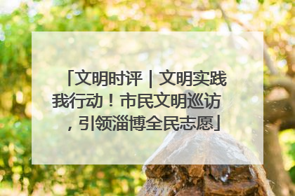 文明时评｜文明实践我行动！市民文明巡访，引领淄博全民志愿