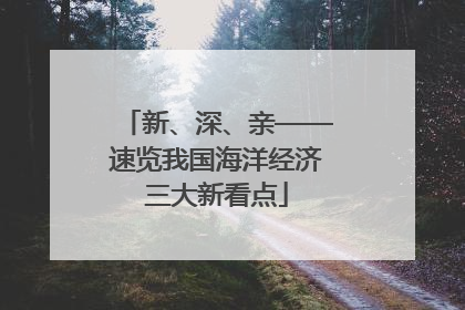 新、深、亲——速览我国海洋经济三大新看点