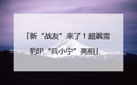 新“战友”来了！超飒雪豹IP“兵小宁”亮相