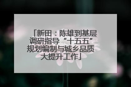 新田：陈雄到基层调研指导“十五五”规划编制与城乡品质大提升工作