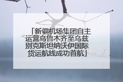 新疆机场集团自主运营乌鲁木齐至乌兹别克斯坦纳沃伊国际货运航线成功首航